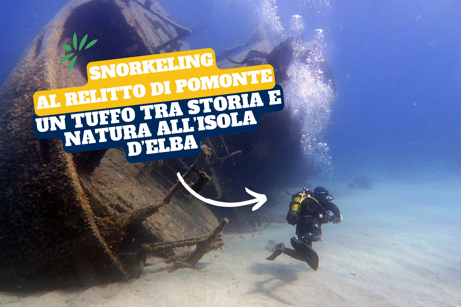 Al momento stai visualizzando Snorkeling al Relitto di Pomonte: un tuffo tra storia e natura all’Isola d’Elba